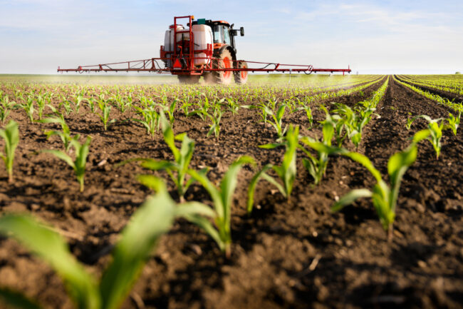 WASDE COrn lead -- DUSAN KOSTIC.jpg