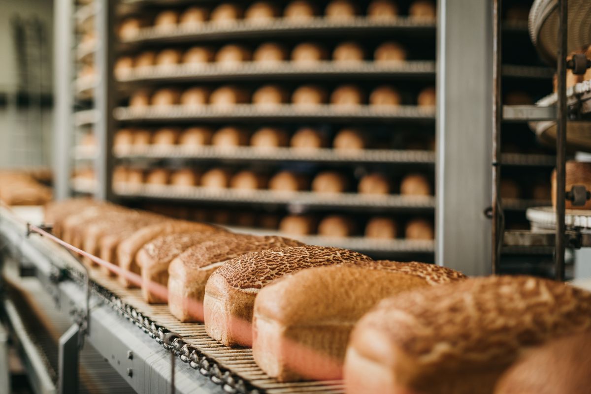 bread