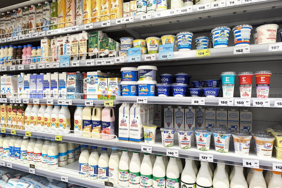 Dairy Runway opens applications for dairy entrepreneurs