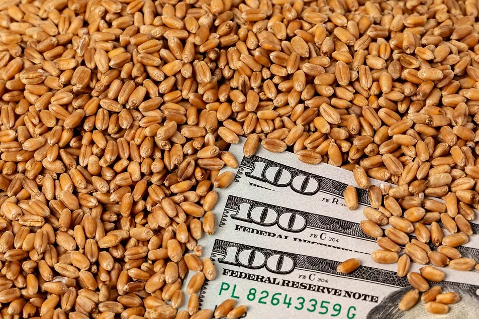 https://www.foodbusinessnews.net/ext/resources/2025/07/31/Tariff-roundup-lead----JJ-GOUIN.webp?height=635&t=1753964331&width=1200