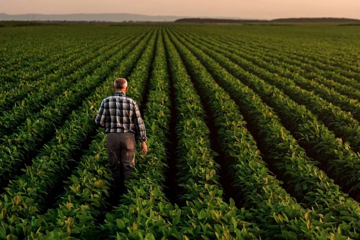FarmerInField_Lead.jpg