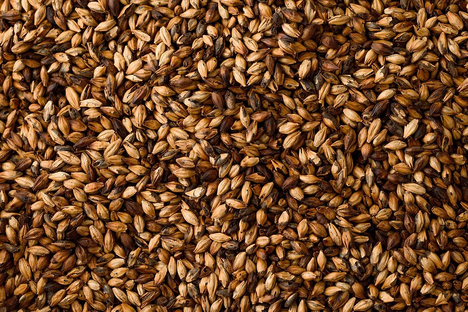 https://www.foodbusinessnews.net/ext/resources/2025/09/19/MaltiPly-Lead_adst_Kirill.jpg?height=635&t=1758298017&width=1200