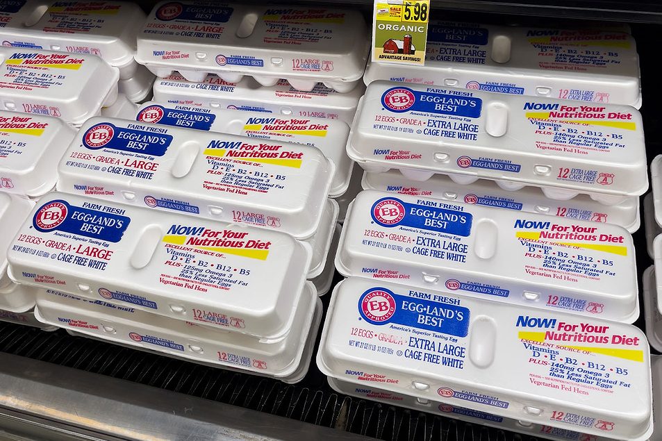 https://www.foodbusinessnews.net/ext/resources/2025/10/06/Cal-Maine-Lead_adst_Scott-Habermann.jpg?height=635&t=1759753613&width=1200