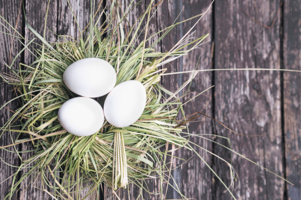 Featherland Egg Farms eggs