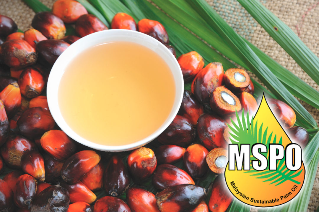 Malaysian palm oil and fruit