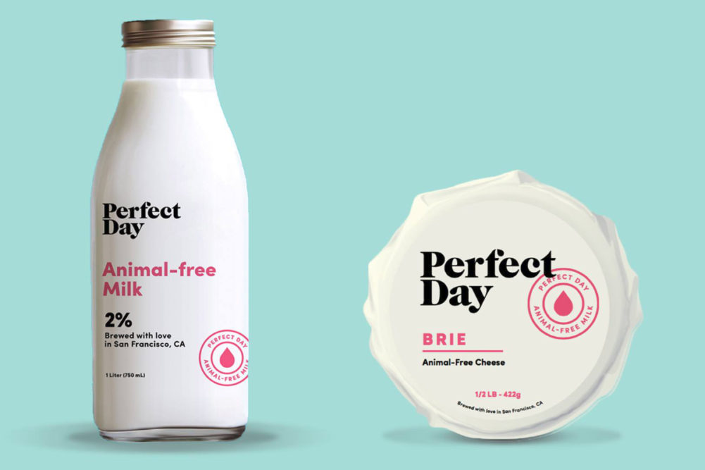 Perfect Day animal-free milk and cheese