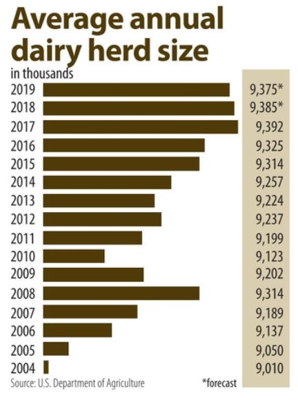 Dairy herd size chart