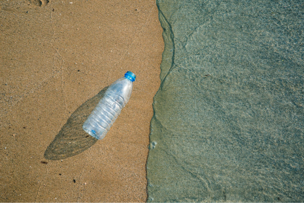 Plastic bottle on the ocean shore
