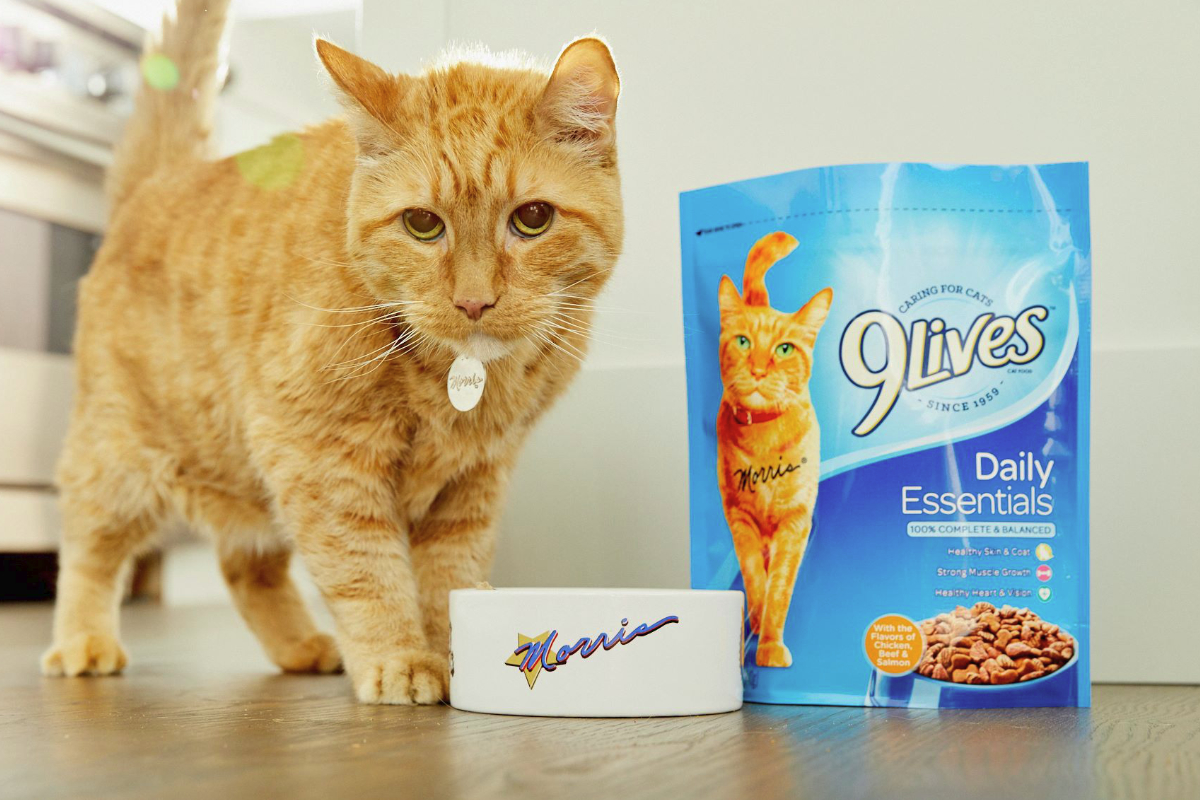 9 Lives cat food, Big Heart Pet Brands, Smucker