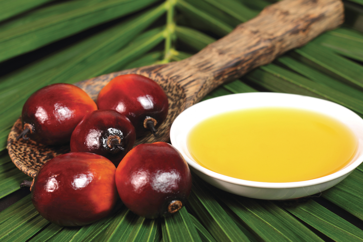 Palm oil