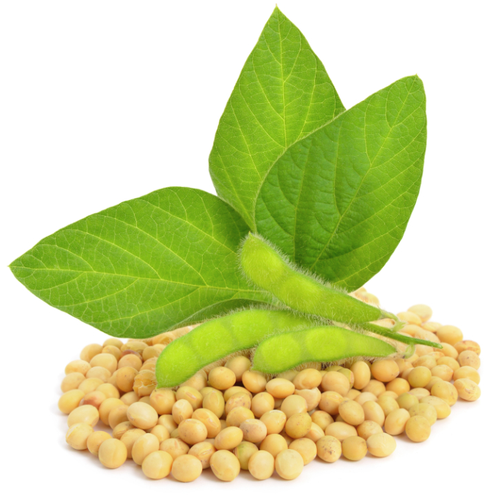 Soybeans