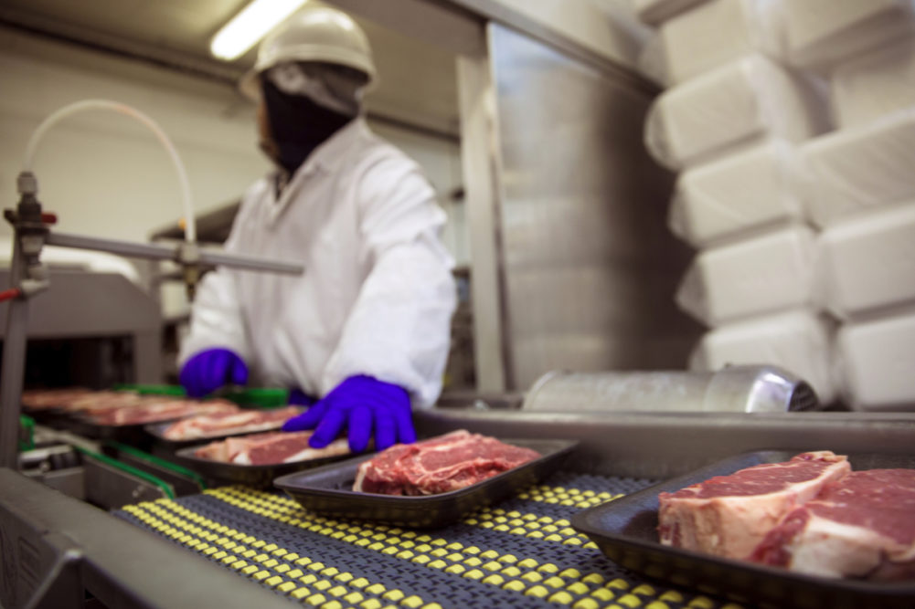 Food safety meat production