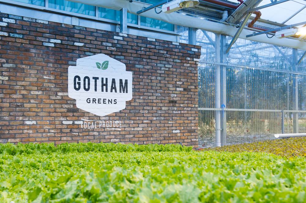 Gotham Greens greenhouse