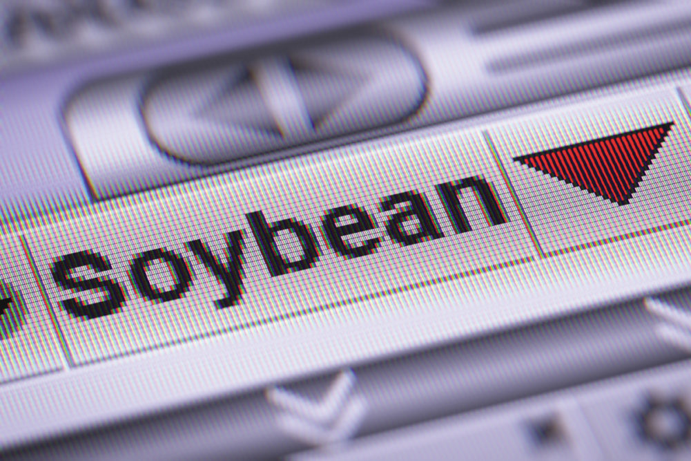 Soybean stock down