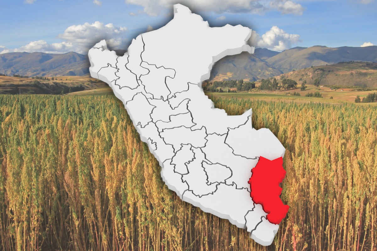 Quinoa in Puno, Peru