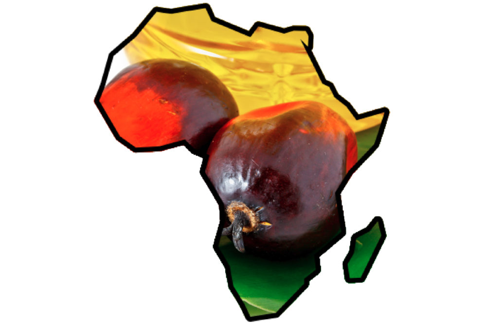 Africa palm oil