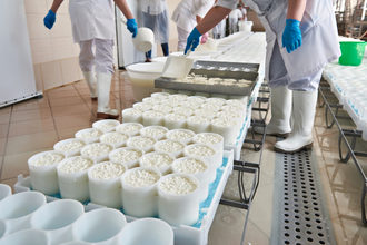 Cheeseproduction lead