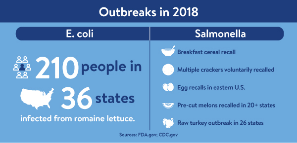 Salmonella outbreaks infographic