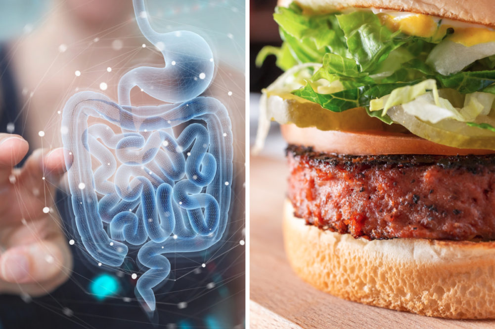 Gut microbiome and plant-based meat alternative