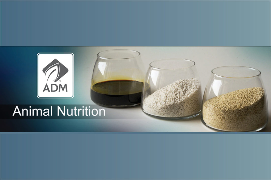 ADM logo with ingredients in glasses