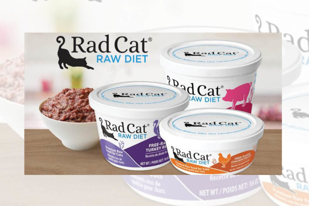 Rad Cat Product Trio and Logo