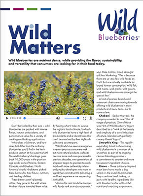 201806_Wild Blueberries_Wild Matters